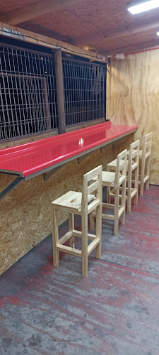 Reviews of Comida Rapida El Benjita in Vallenar - Gastronomía y hostelería