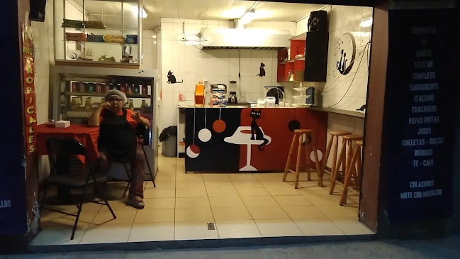 La Perseverancia Open Times