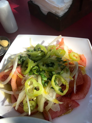 Alejandro Fierro 4515, 8500507 Quinta Normal, Región Metropolitana