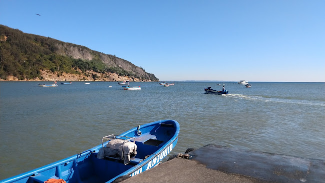 Opinii despre Balsa Turística Llico Paraíso în Arauco - Gastronomía y hostelería