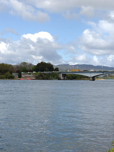 Cafetería Terminal de Valdivia - Valdivia