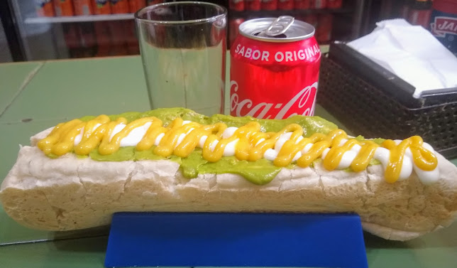 Fuente Patagonia - Antofagasta