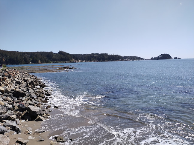 Restaurante Santa Elena - Gastronomía y hostelería