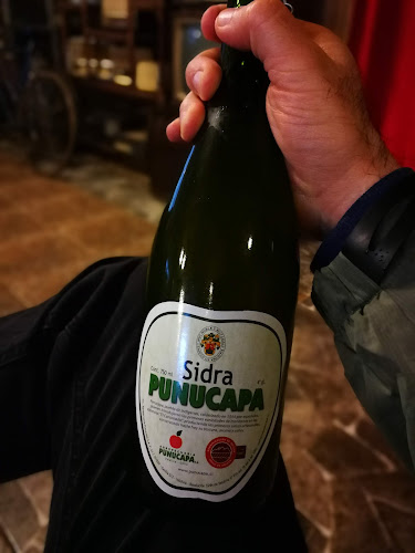 Sociedad Agropecuaria Punucapa S.A. - Punucapa