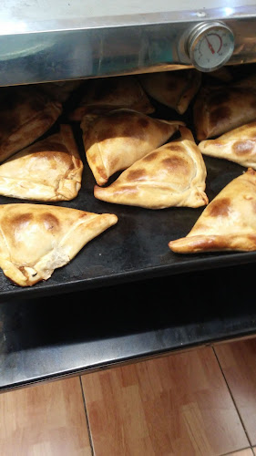 Alimento de mascotas"RHICATDOG” - Gastronomía y hostelería