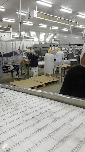 Opinii despre Pacificblu SpA în Talcahuano - Gastronomía y hostelería