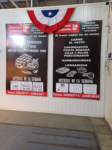 Comercializadora Borislav Miljeko Ljubetic Ercig Ltda. - Estación Central