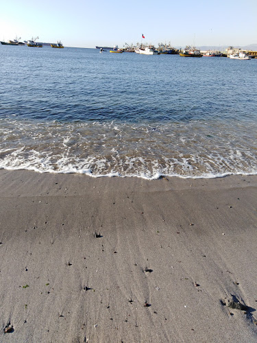 El Delfin Restaurant - Gastronomía y hostelería