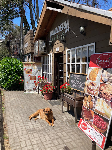 Reviews of Oasis in Pucon - Gastronomía y hostelería