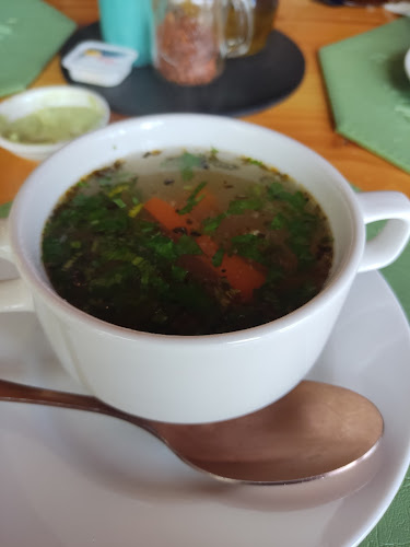 C. Guido Beck de Ramberga 536, 5210000 Panguipulli, Los Ríos