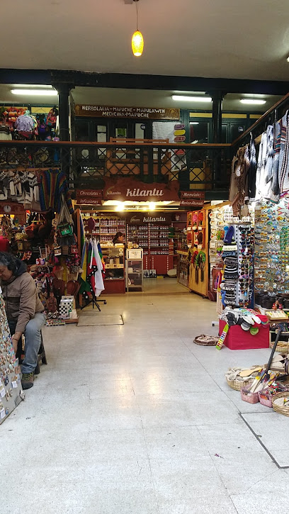 Feria Fluvial de Valdivia