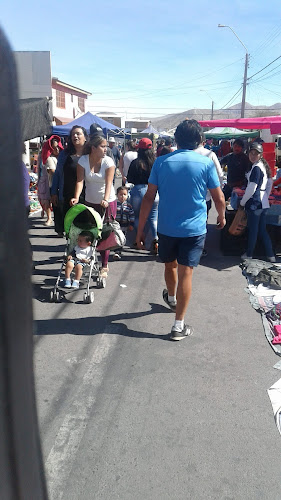 Feria de las Pulgas Calama Open Times