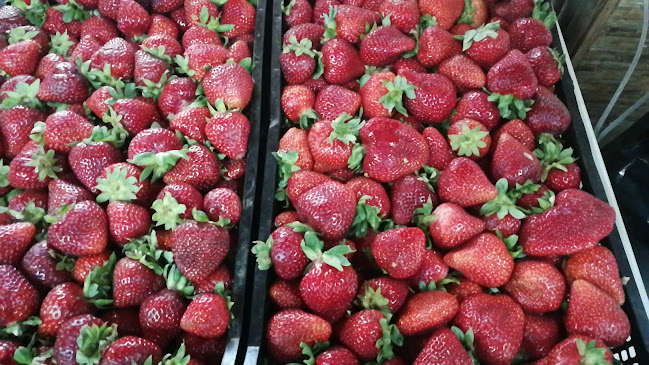 Av. Libertador Bernardo O' Higgins, 3465642 Talca, Maule