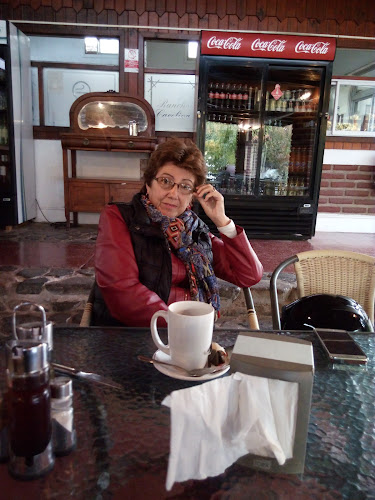 Av. Adolfo Eastman Cox 840, Los Maitenes, Limache, Valparaíso