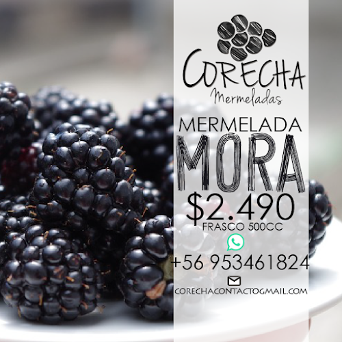 Comentarii opinii despre Corecha