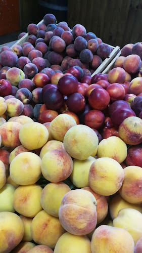 Venta de Verduras la Veguita - Talca