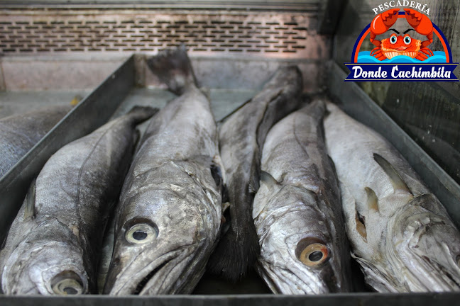 Pescadería donde Cachimbita Phone number
