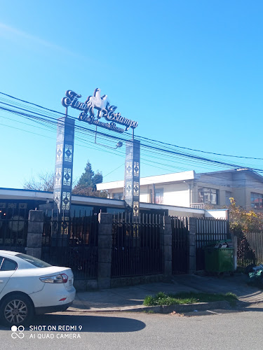Galvarino 241, 4030000 Concepción, San Pedro de la Paz, Bío Bío
