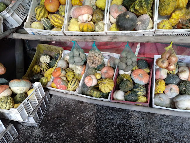 Hornitos de Punta Azul