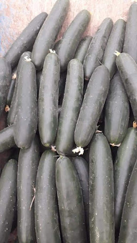 Opinii despre Agrícola Gregorio în Arica - Gastronomía y hostelería