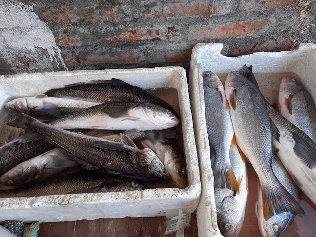 Mirando el rio - Gastronomía y hostelería