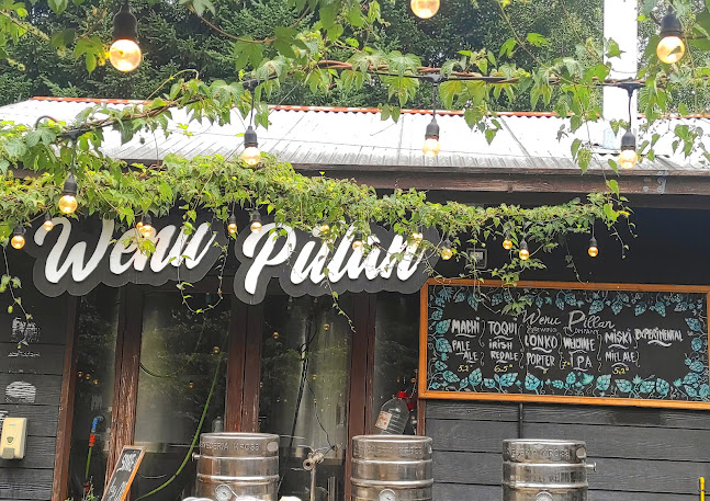Opinii despre Wenu Pillán Cervecería y Restaurante în Villarrica - Gastronomía y hostelería