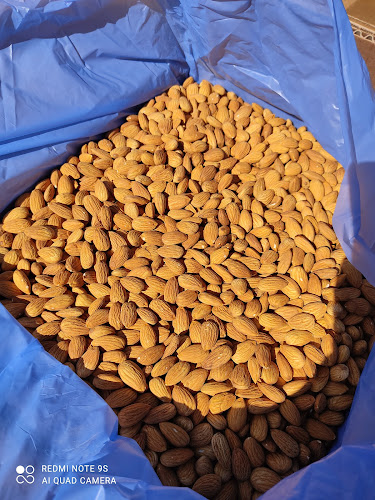 Comercial Delinuts SpA