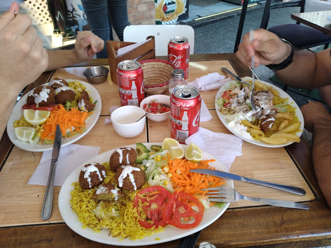 Eusebio Lillo 391, 8420364 Recoleta, Región Metropolitana