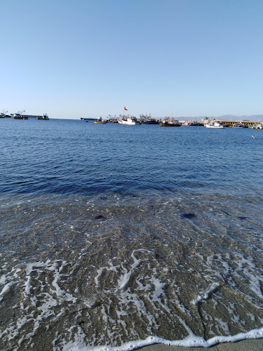 El Delfin Restaurant