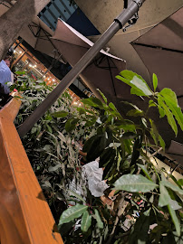 Reviews of Restaurant Oriental in La Reina - Gastronomía y hostelería