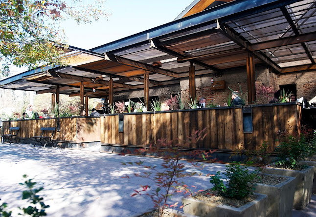 Tio Tomate Mañio - Vitacura