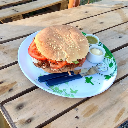 La Pica De La Tere - Villarrica