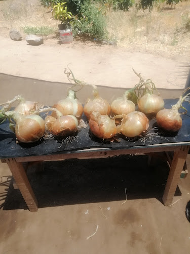 Fabrica De Empanadas "El Profe" - Gastronomía y hostelería