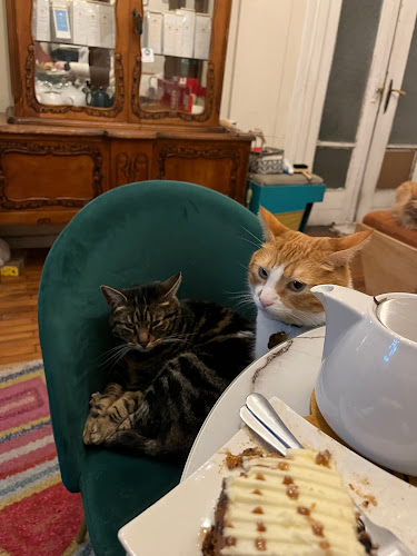 Tetería Cleopatra Chile - Santiago