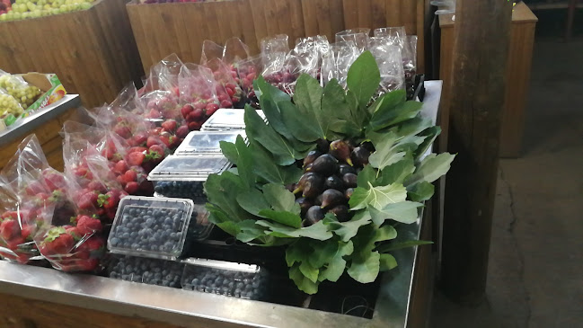 Venta de Verduras la Veguita - Gastronomía y hostelería