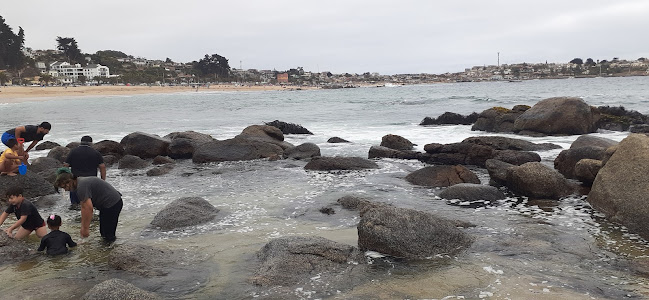 Comentarii opinii despre Resto & Bar Plan B