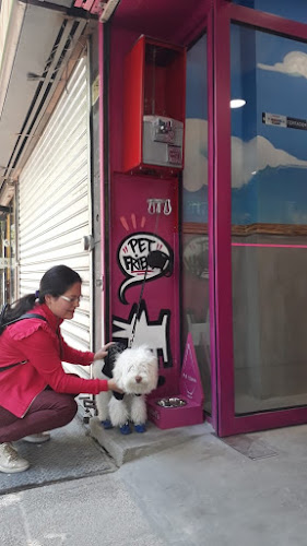 Daniel’s Bakery ToGo