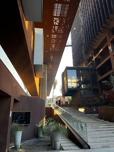 BAR EL BAJO Phone number