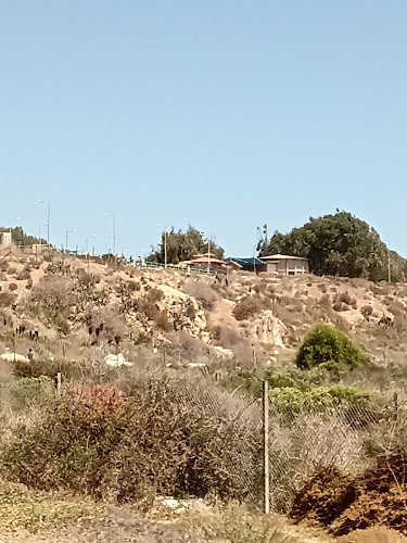 Los Vilos, Coquimbo, Chile