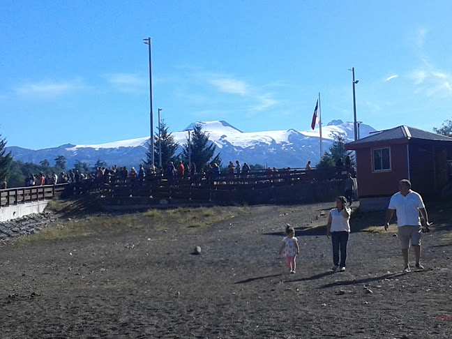 Ruta 203 500, Panguipulli, Los Ríos, Chile