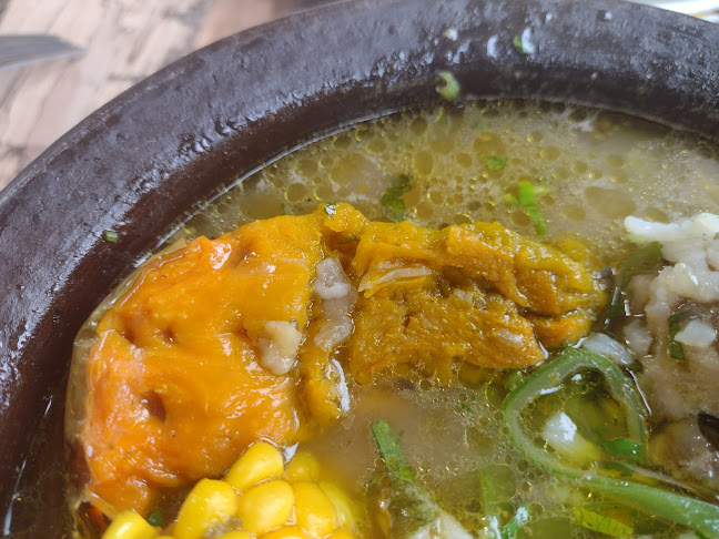 Comentarii opinii despre El Pollo Caballo