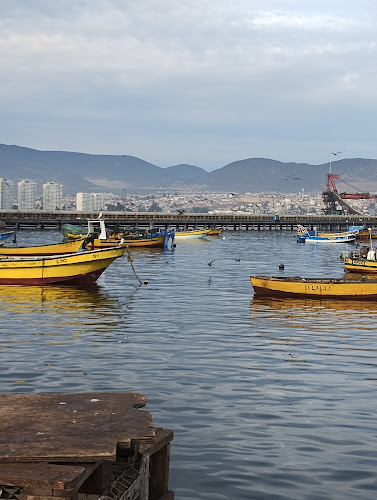 Prof. Zepeda, Coquimbo