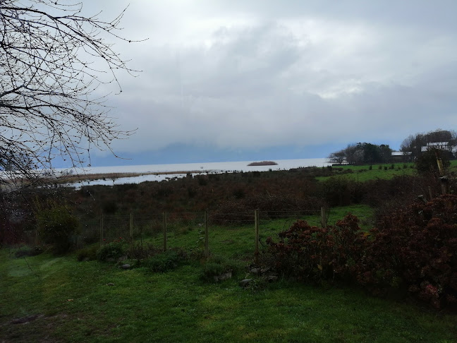 Don Salmón Phone number