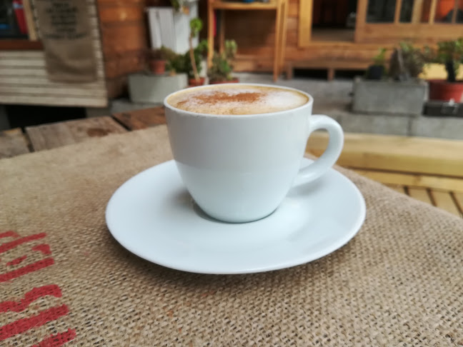 El Gato en Bicicleta