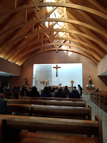 Monster Burger Open Times