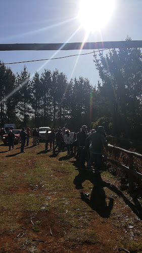 Opinii despre Cancha La Mutilla în Las Golondrinas - Gastronomía y hostelería