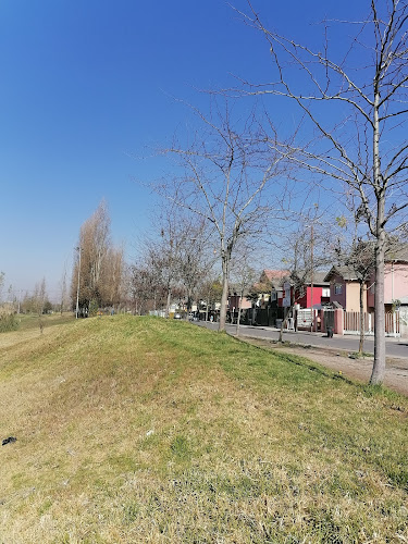 RESTAURANTE SUNYI " RESABRO CHINO " - Gastronomía y hostelería
