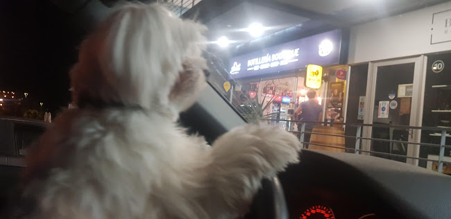 Av. Blanca Estela 1927, local 8, 2511510 Concón, Valparaíso