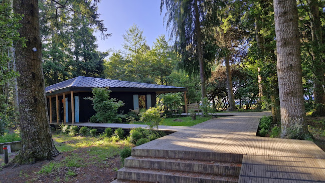 Comments and reviews of Restaurant Rincón de la Ensenada