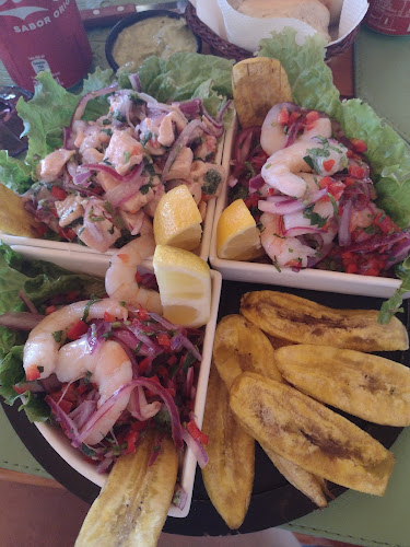 C. Guido Beck de Ramberga 536, 5210000 Panguipulli, Los Ríos